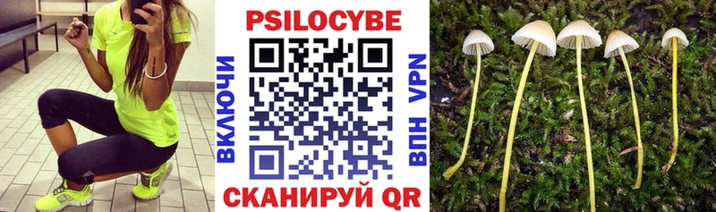 Галлюциногенные грибы Cubensis  гидра ONION  Калининск  сколько стоит 
